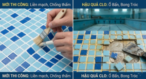 Clo Hồ Bơi Có Làm Hỏng Ron Không