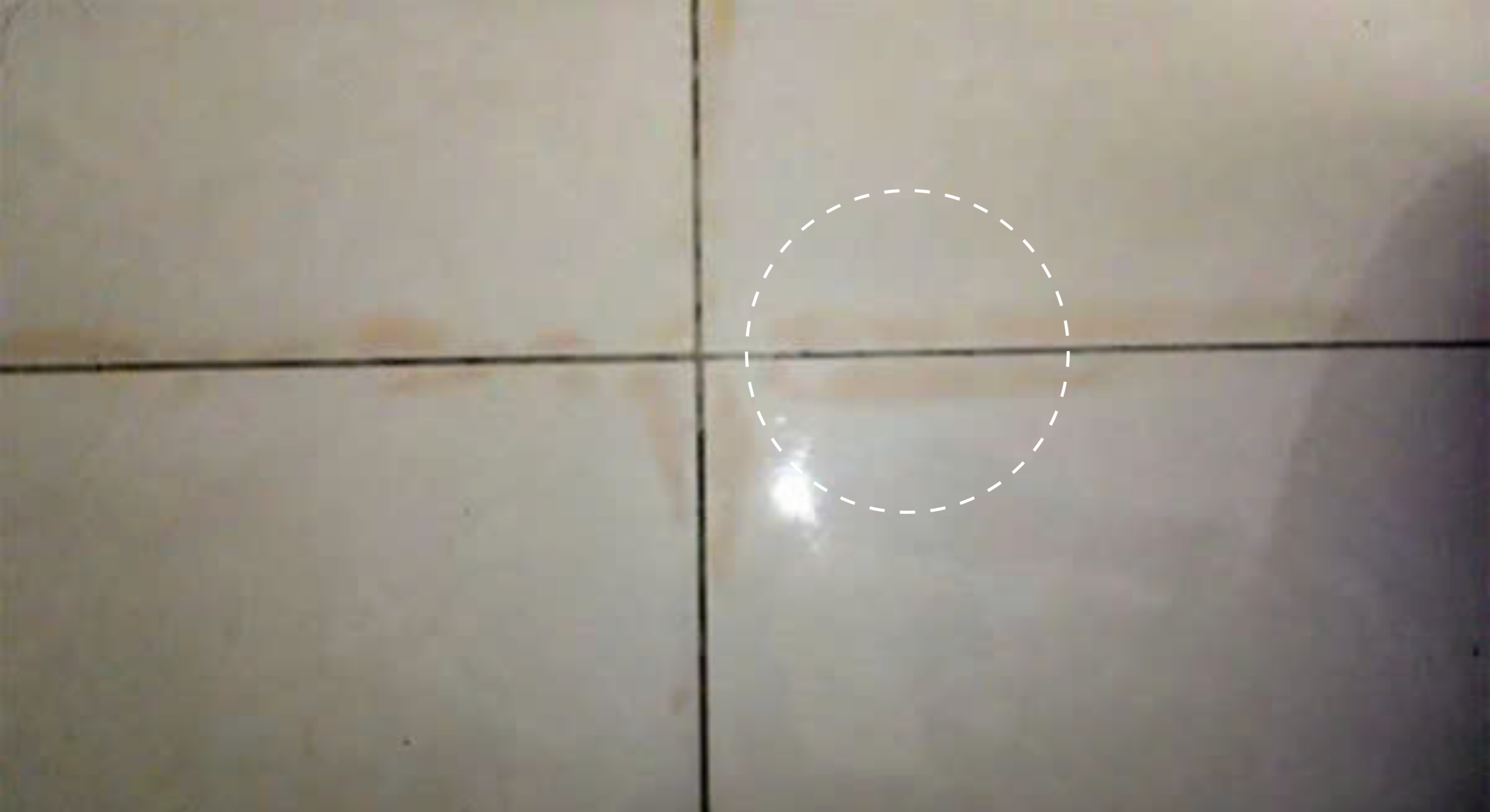 Ron gạch bị thấm nước