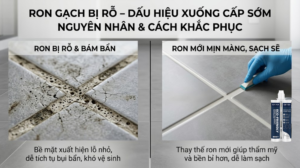Lỗi Ron Gạch Bị Rỗ