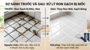 Lỗi Ron Gạch Bị Mốc Đen